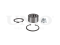Front wheel bearing kit (with ABS) thumb