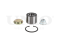 Rear wheel bearing kit (without ABS) thumb