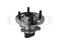 Rear hub (with ABS) thumb