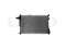 Engine cooling radiator thumb