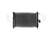 Engine cooling radiator thumb