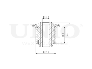 Inner front lower control arm bushing photo