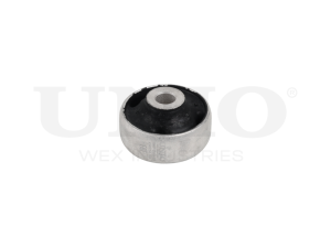 Rear front lower control arm bushing photo