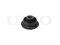 Rear front lower control arm silent block thumb
