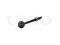 Inner right rear transverse link silent block thumb