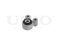 Lower rear engine mount thumb