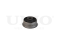 Rear front lower control arm silent block thumb