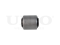 Rear transverse link silent block thumb