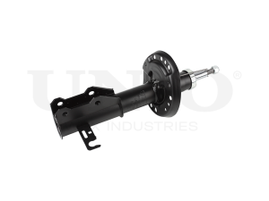 Right front gas shock absorber photo