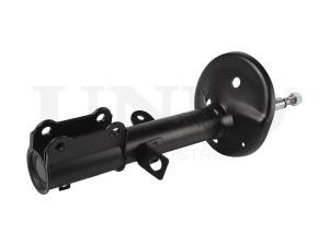 Right rear gas shock absorber photo
