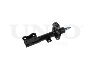 Right front gas shock absorber photo