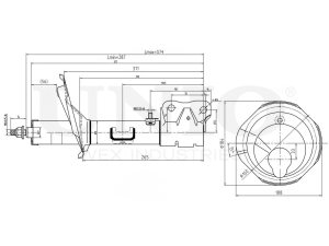 Left front gas shock absorber photo