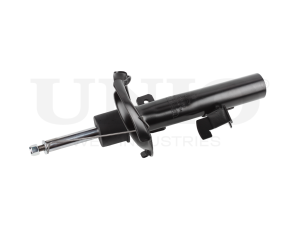 Left front gas shock absorber photo