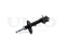 Right rear gas shock absorber thumb