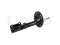 Right rear gas shock absorber thumb