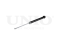 Rear gas shock absorber thumb