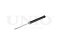 Rear gas shock absorber thumb