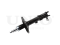 Left rear gas shock absorber thumb