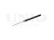 Rear gas shock absorber thumb