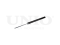 Rear gas shock absorber thumb