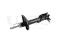 Left rear gas shock absorber thumb