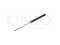 Rear gas shock absorber thumb