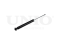 Rear gas shock absorber thumb