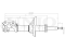 Front oil shock absorber thumb