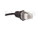 Rear ABS sensor thumb