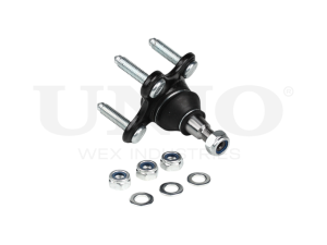 Front lower right ball joint photo