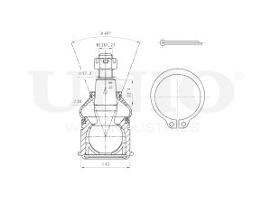 Front lower ball joint photo