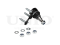 Front lower left ball joint thumb