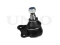 Front lower left ball joint thumb
