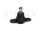 Front lower ball joint thumb