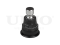 Front lower ball joint thumb
