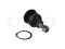 Front lower ball joint thumb