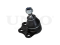Front lower ball joint thumb