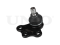 Front lower left ball joint thumb