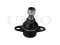Front lower ball joint thumb