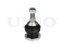 Front lower ball joint thumb
