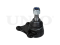 Front lower right ball joint thumb