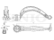 Front lower right transverse suspension arm thumb