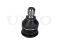 Front lower ball joint thumb