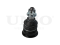 Front lower ball joint thumb