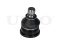 Front lower ball joint thumb