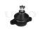 Front upper ball joint thumb