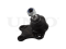 Front lower left ball joint thumb