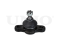 Front lower ball joint thumb