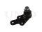 Front lower right ball joint thumb