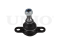 Front lower ball joint thumb